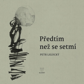 Předtím než se setmí - Petr Ligocký