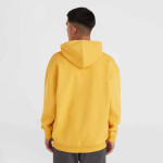 O'Neill Future Surf Society Hoodie 92800613450