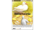 Ošklivé kačátko Naučná karta