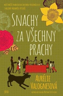 Snachy za všechny prachy - Aurélie Valognes