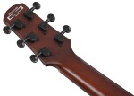 Ibanez AUP10N Light Brown Sunburst
