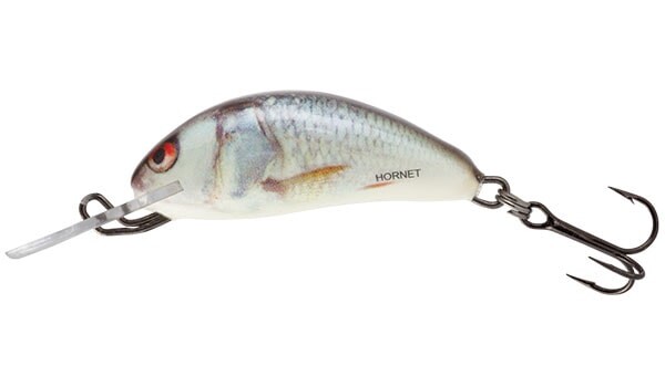 Salmo Wobler Hornet Floating 5cm - Real Dace,Salmo Wobler Hornet Floating 5cm - Real Dace