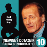 (Ne)vinný dotazník Radka Brzobohatého 10. - audiokniha