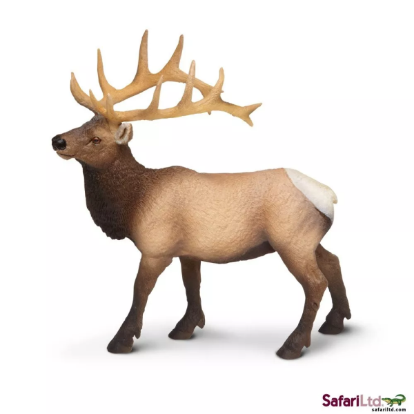 Safari Ltd. Safari Ltd. Wapiti západní