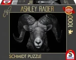 SCHMIDT Puzzle Dominance berana: Ztělesnění ohně