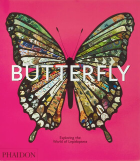 Butterfly - David G. James