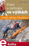 Práce a záchrana ve výškách a nad volnou hloubkou - Ondřej Belica e-kniha