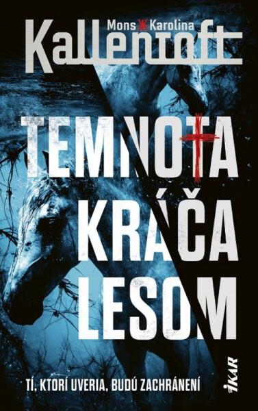 Temnota kráča lesom (slovensky) - Mons Kallentoft