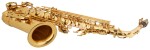 Bacio Instruments SA-01L