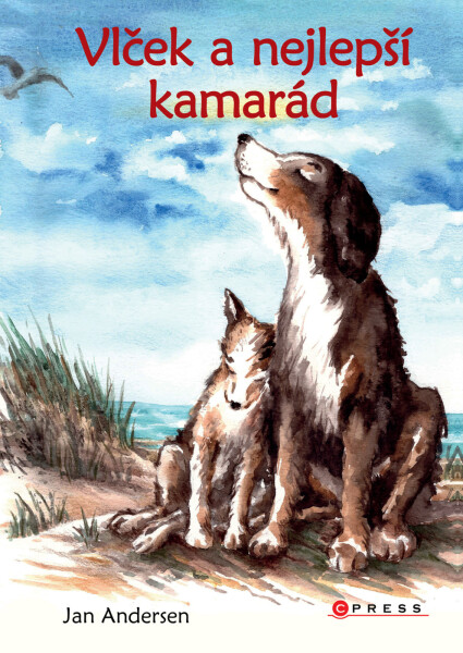 Vlček a nejlepší kamarád (e-kniha) - Jan Andersen