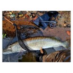 Fencl Originální náhradní pogumovaná podběráková síť 240 x 90cm,Fencl Originální náhradní pogumovaná podběráková síť 240 x 90cm