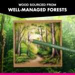 Prismacolor, 1799879, Prismacolor Premier, umělecké pastelky nejvyšší kvality, 150 ks