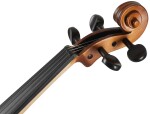 Pierre Marin Salieri Violin Set 3/4