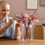 LEGO LEGO® Botanicals 11510 Větvičky magnólie