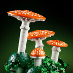LEGO LEGO® Botanicals 11505 Lesní houby