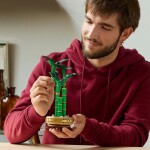 LEGO LEGO® Botanicals 10344 Bambus štěstí