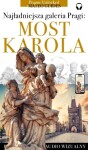 Most Karola - historie posągów, świętych i rzeźbiarzy (+audio) - Lubor Matěj - e-kniha