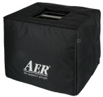 Aer Domino 2A