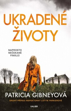 Ukradené životy, 2. vydání - Patricia Gibneyová