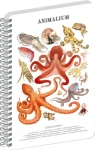 NOTIQUE Animalium – Hlavonožci / Spirálový blok / A4 / linkovaný