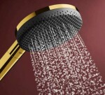 HANSGROHE - Raindance Alive Select S Sprchová hlavice, 3 proudy, leštěný vzhled zlata 24500990