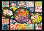 ENJOY Puzzle Květinová zahrada