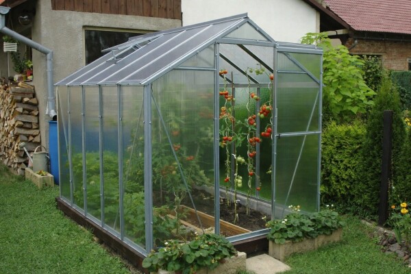 Polykarbonátový skleník LIMES Viva V6/2, š. 1,97 m × d. 2 m, PC 6 mm