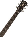 Taylor Gold Label 517e