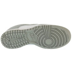 Boty Nike Dunk Low Retro HF5441-105 36