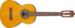 Ibanez GA2 Amber
