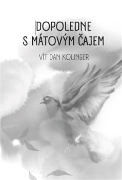 Dopoledne s mátovým čajem - Vít Dan Kolinger