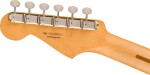 Fender Limited Edition Player II Stratocaster RW 3TS