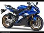 Yamaha Yzf R6 08-15 Plexi Standard