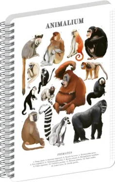 NOTIQUE Animalium – Primáti / Spirálový blok / A4 / čtverečkovaný