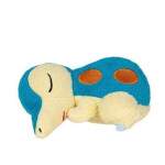 Pokemon Sleeping