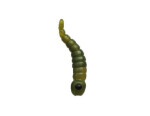 Carp´R´Us Rovnátko Mouthsnagger Dragonfly Larvae Shorty Green 8ks (CRU200303)