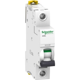 Schneider Electric A9F92163 A9F92163 elektrický jistič 63 A 230 V