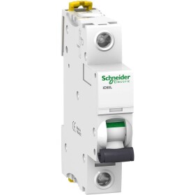 Schneider Electric A9F95163 A9F95163 elektrický jistič 63 A 230 V