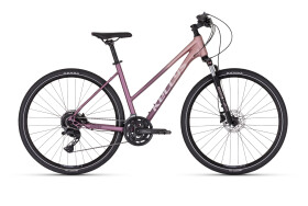 Kellys Pheebe 70 2024