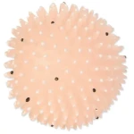 TRIXIE Míč Ježek svítící vinyl / Hračka pro psa / O 10 cm (G14-34091)