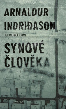Synové člověka - Islandská krimi - Arnaldur Indridason