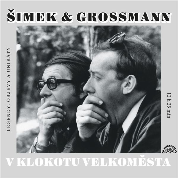 V klokotu velkoměsta - Miloslav Šimek