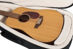 Gator G-PG Acoustic