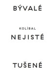 Bývalé nejisté tušené - Stanislav Kolíbal