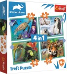 Trefl Puzzle Animal Planet: Záhadný svět zvířat 4v1 (35,48,54,70 dílků) - TOMI