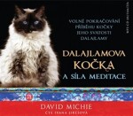 Dalajlamova kočka a síla meditace - CD, 1. vydání - David Michie