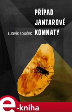 Případ Jantarové komnaty - Ludvík Souček e-kniha