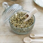 Strömshaga Skleněná dóza s víkem Edvin, čirá barva, sklo