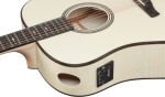 Ibanez AAD371E ATW