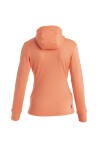 ICEBREAKER Wmns Merino 260 Quantum IV LS Zip Hoodie, Tang velikost: XS